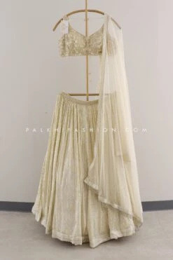A Touch Of Glamour: A Champagne Color Designer Lehenga Choli