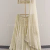 A Touch Of Glamour: A Champagne Color Designer Lehenga Choli -Indian Wear Shop ATouchofGlamourAChampagneColorDesignerLehengaCholi 2 scaled