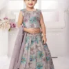 Adorable Purple Grey Color Lehenga Choli For Little Ones 2 Adorable Purple Grey Color Lehenga Choli For Little Ones -Indian Wear Shop AdorablePurpleGreyColorLehengaCholiforLittleOnes scaled