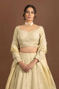 Royal Weaves: Lavish Beige Silk Designer Lehenga Choli With Pearls And Mirrors -Indian Wear Shop RoyalWeavesLavishBeigeSilkLehengaCholiwithPearlsandMirrors 2