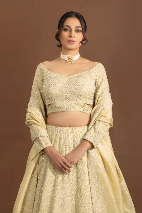 Royal Weaves: Lavish Beige Silk Designer Lehenga Choli With Pearls And Mirrors -Indian Wear Shop RoyalWeavesLavishBeigeSilkLehengaCholiwithPearlsandMirrors 2 scaled