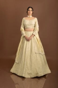 Royal Weaves: Lavish Beige Silk Designer Lehenga Choli With Pearls And Mirrors -Indian Wear Shop RoyalWeavesLavishBeigeSilkLehengaCholiwithPearlsandMirrors 3